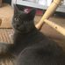 Morgan Conover - Facebook