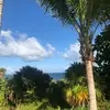 Morgan - @morgan.scribbs - TikTok