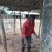 Morgan Daniel - Facebook