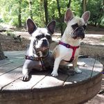Darcy & Morgan - @morgan__darcy - Instagram