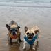 Morgan Darcy - Facebook