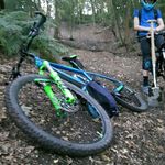 @morgan_davison__ - Instagram