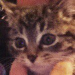 Morgan Dougherty - @mdougher2001 - Instagram