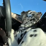 Morgan Dougherty - @m.dougherty20 - Instagram