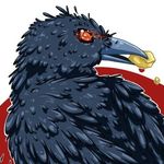 Peter Morgan Downs - @waffleraven - Instagram