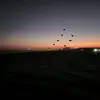 moon_scythe - @morganeldridge69 - TikTok