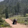 Morgan Eldridge - @morgan.eldridge - TikTok
