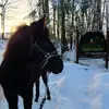 Morgan Frey - @morganfrey22 - TikTok