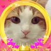 MorganFriedman - @morganfriedmanfweswkk - TikTok