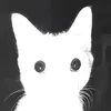 MorganFriedMan - @morganfriedman5 - TikTok