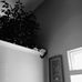 Morgan Galloway - Facebook