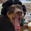 Morgan Garza - @morgangarza6 - TikTok