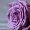 morgangarzafam - @morgangarzafam - TikTok