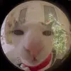 Mo - @morgan.george14 - TikTok