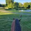 Morgan - @morgan.gerhart - TikTok