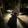 morgan goff - @morgana.goff - TikTok