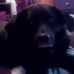 Morgan Graff - Facebook