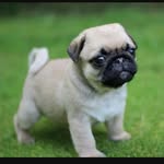 morgan greenberg - @greenbergmorgan - Instagram