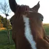 morgangrieve - @morgan.amazbalz - TikTok