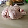 Morgan - @morgan.grose_ - TikTok