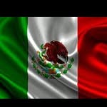 Morgan Guzman - @mr_guzman420 - Instagram