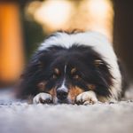 Mason Jones - @_morganhaley - Instagram
