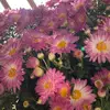 morgan haley - @morgan_haley2004 - TikTok