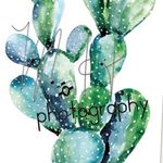 Morgan Hallock - @mh_photography._ - Instagram
