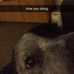 Morgan Hamer - Facebook