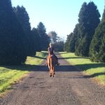 Morgan Hamlin - @morganequestrian22 - Instagram