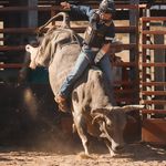 Morgan Harrington | NC & WY - @truehartphotography - Instagram