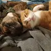 Morgan Ann Hatfield - @morgan.ann.hatfie - TikTok