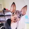 Morgan Hoff - @morganhoff92 - TikTok