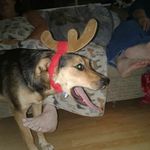 morgan hooks - @sleepypizza2 - Instagram