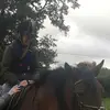 morgan_hooks - @morgan_hooks6 - TikTok