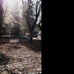 @morganhubert - Instagram