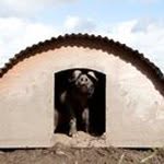 Morgan Hurley - @thornhillorganicfarm - Instagram