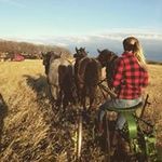 Morgan Jacobson - @jacobson5673 - Instagram