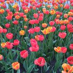 Morgan Katz - @morgankatzauthor - Instagram