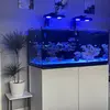 morgan_keekee - @morgan_keekee - TikTok
