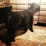 Morgan Knapp - @knappster_ - Instagram