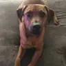Morgan Knapp - @morganknapp724 - TikTok