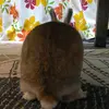 MorganKnapp - @morganknappsnqugu - TikTok