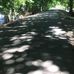 Morgan Lake Trailhead- Dutchess County Rail Trail - Facebook