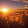 Morgan Landsness - @morgan.landsness - TikTok