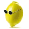 Morgan Lemons - @morgan.lemons - TikTok