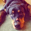 Morgan Leverett - @morgan.leverett2 - TikTok