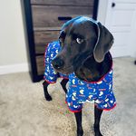 Morgan Light Marlow - @morganrmarlow - Instagram
