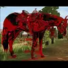 morganlionhope - @morganlionhope - TikTok