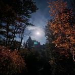 Morgan Loomis - Facebook